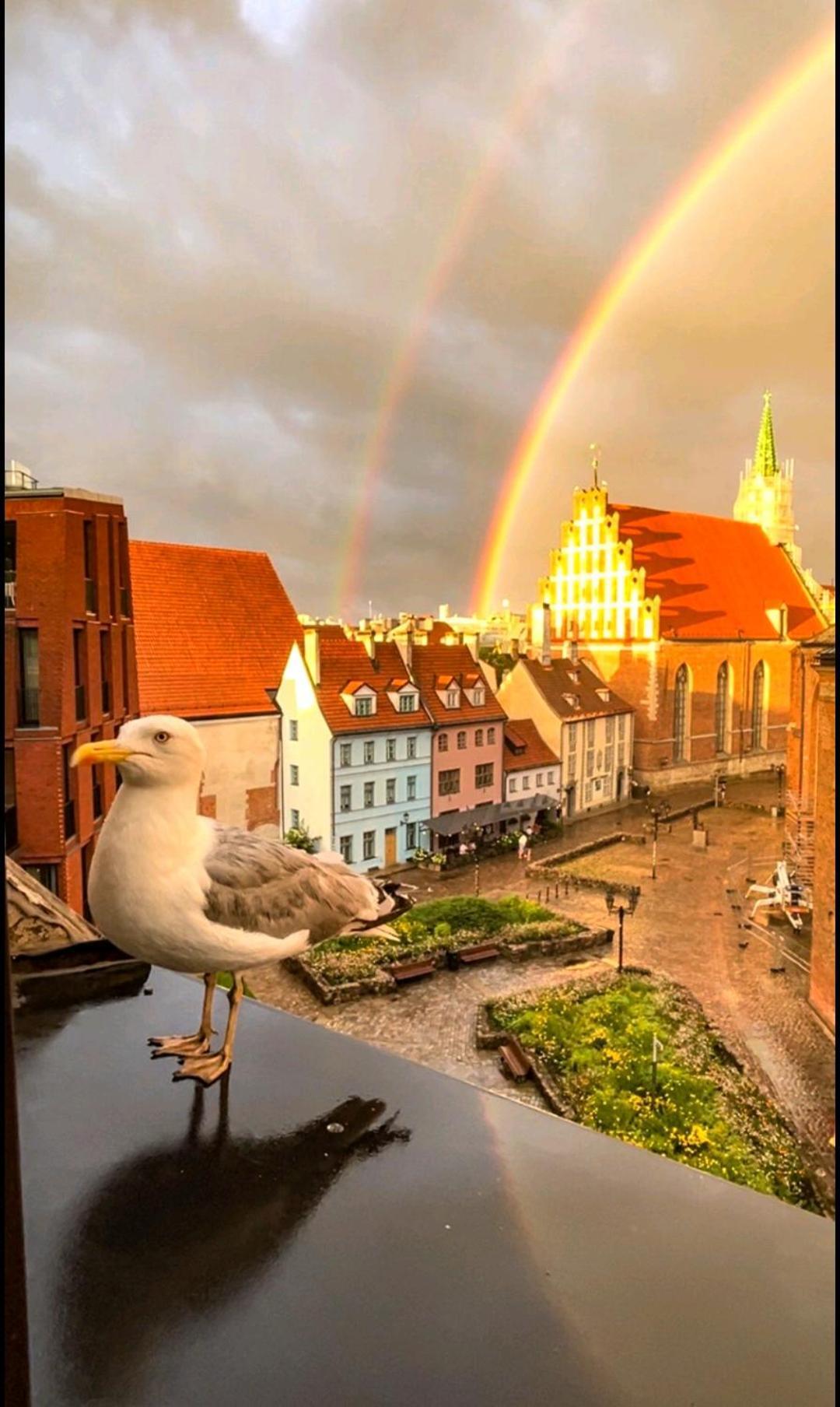Old Town Retreat With Stunning Views 2 Bedroom Apartment Nearby The Church Of Saint Peter Riga Eksteriør billede